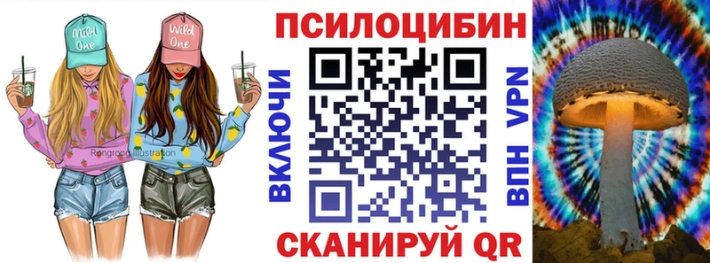 закладки  Тара  Галлюциногенные грибы Psilocybine cubensis 